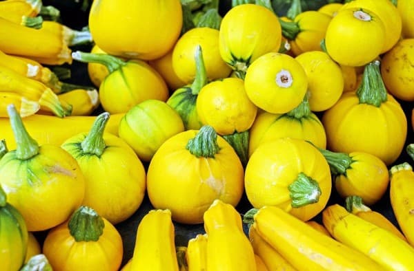 Bolcourgette