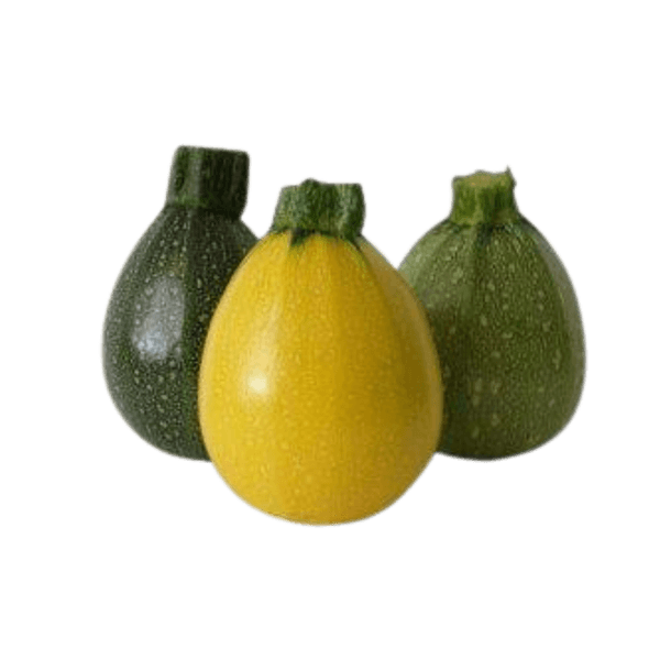 Kugelförmige Zucchini