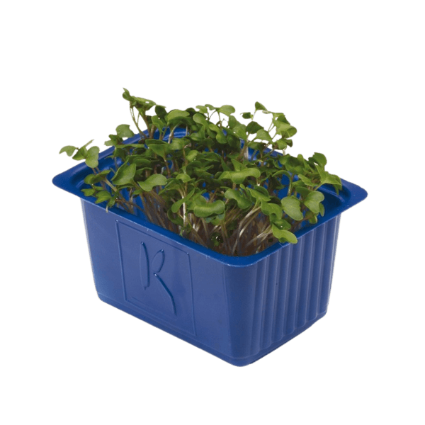 BroccoCress®