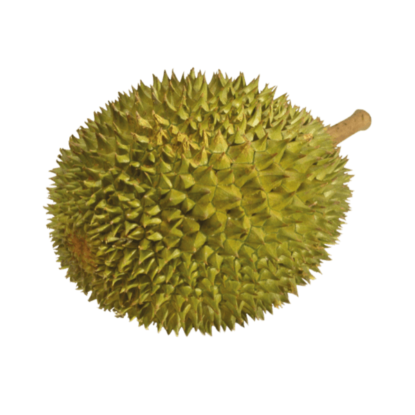 Doerian