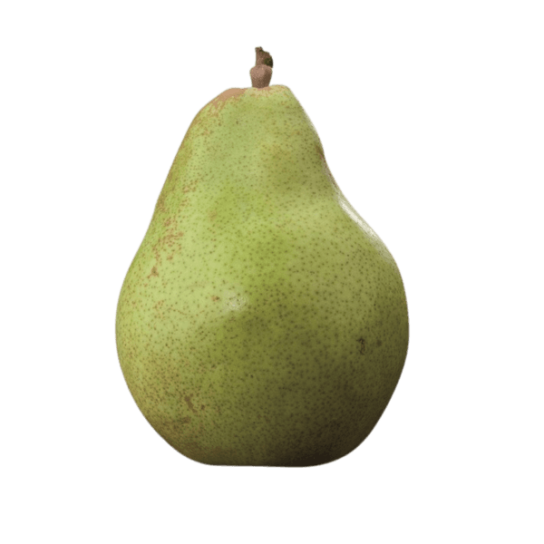 Doyenné du Comice peer