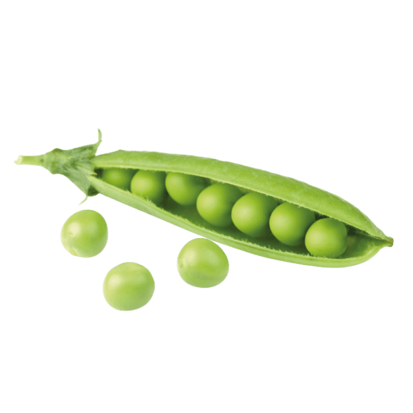 Erwten