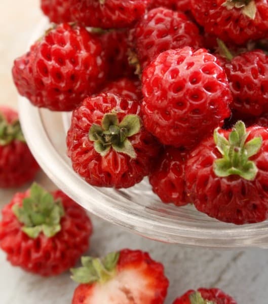 Raspberry-strawberry