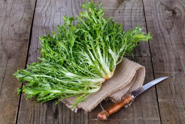 Frisée