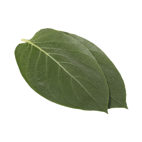 From Age Leaves®