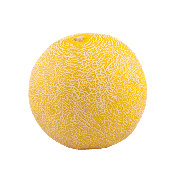 Galiameloen