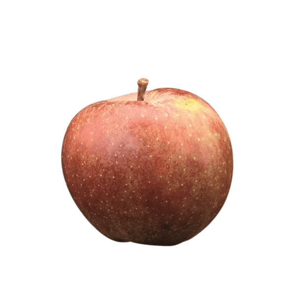 Goldenrain apple