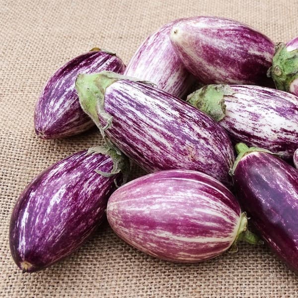 Mini graffiti aubergine