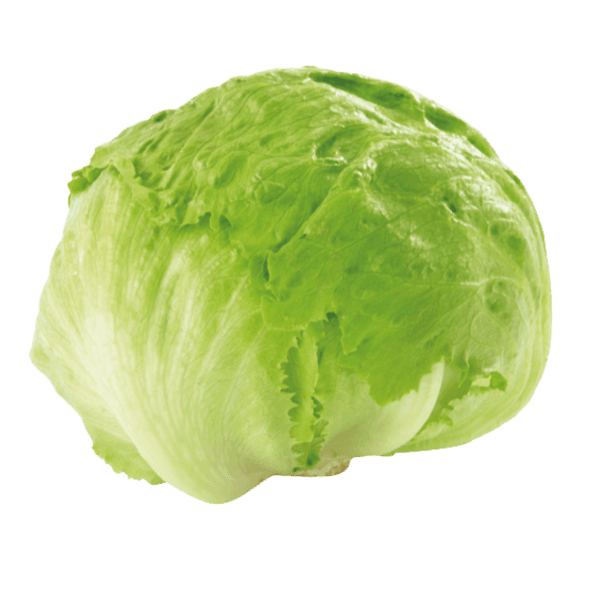 IJsbergsla
