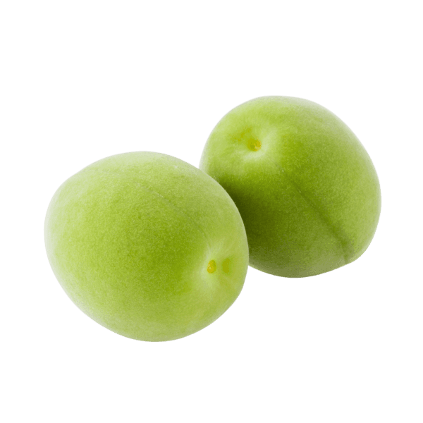 Japanese apricots