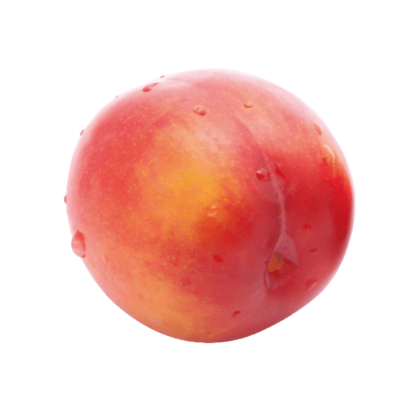 Japanese plum