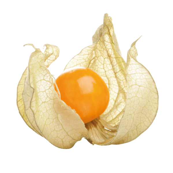 Kaapse kruisbes
