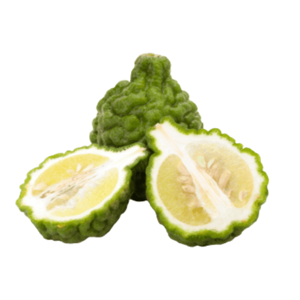 Kaffernlimette