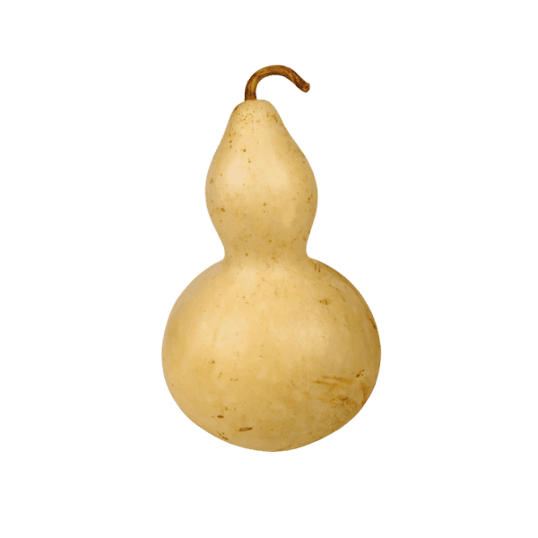 Kalebas