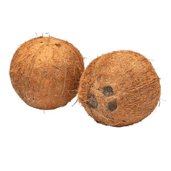 Coconut