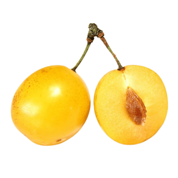 Tickle plum