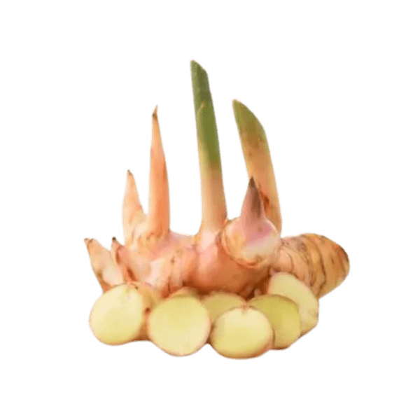Laoswortel