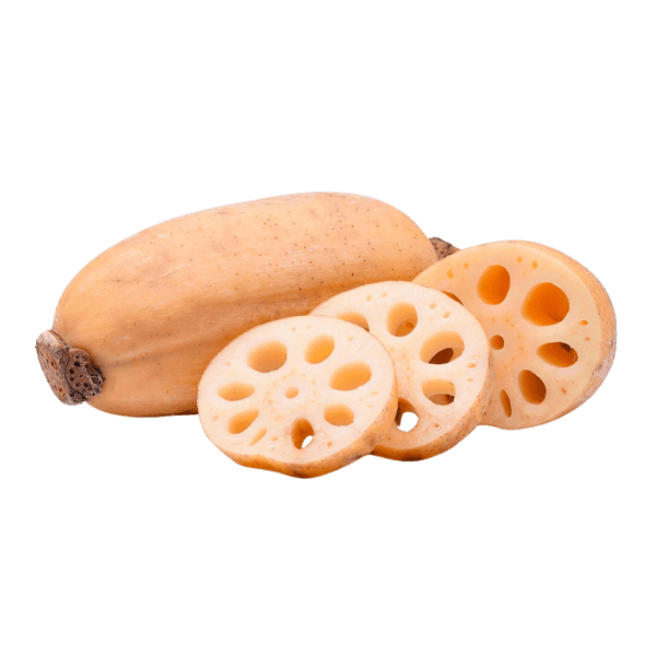 Lotuswurzel