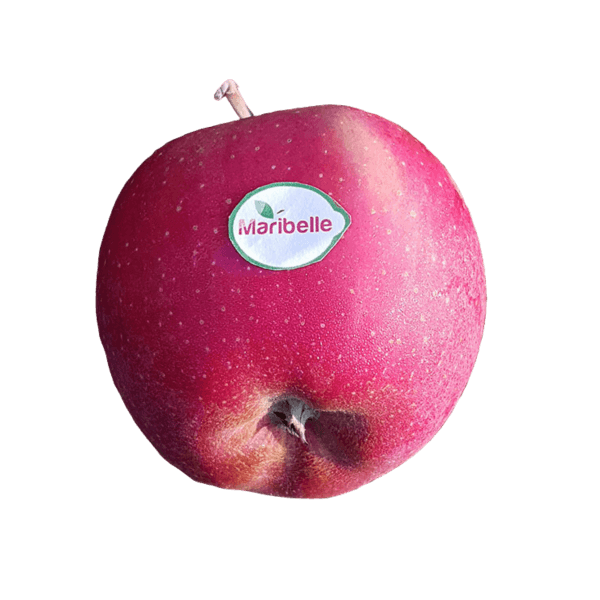 Maribelle apple