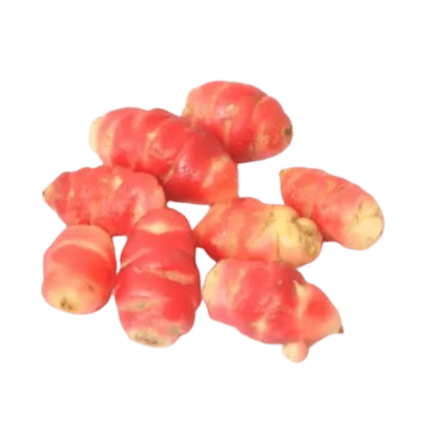 Oca de Peru