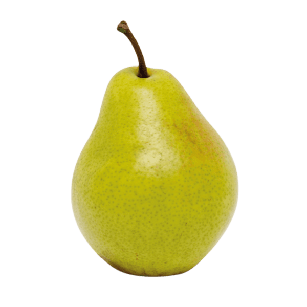Peer