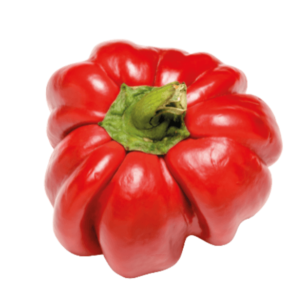 Platte paprika