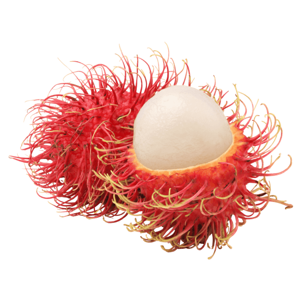 Rambutan