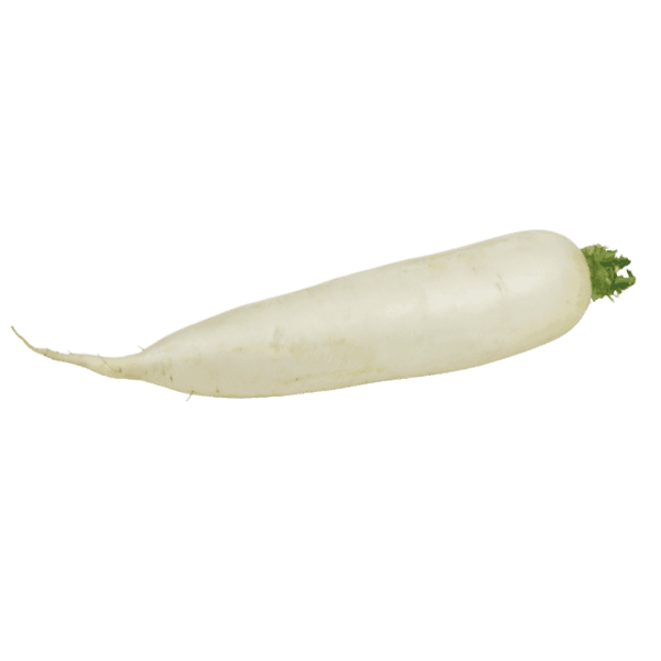 Rettich