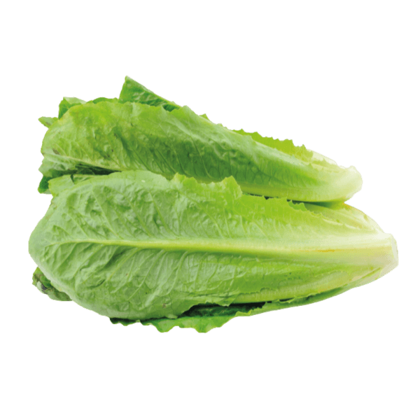 Romanasla