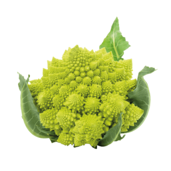 Romanesco