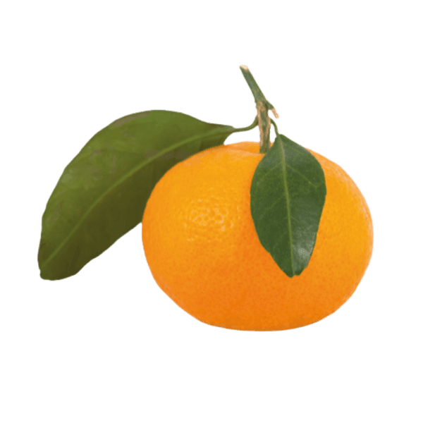 Satsuma Mandarijn