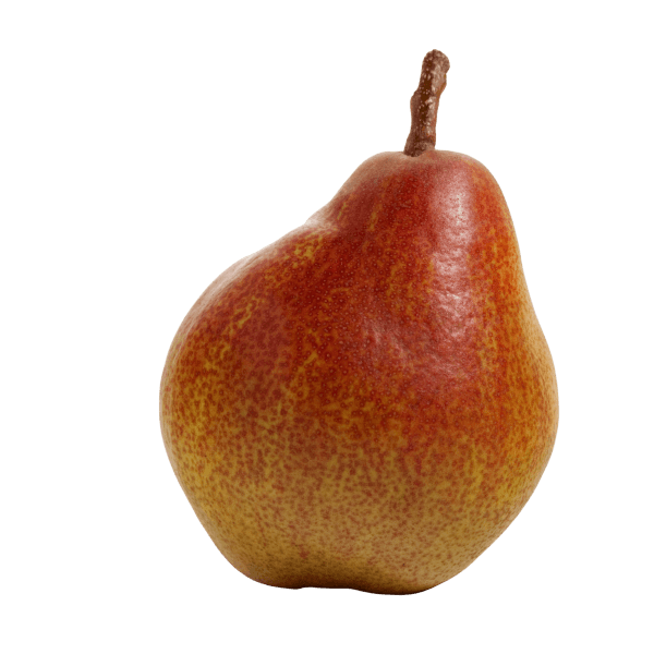 Sweet Sensation Peer