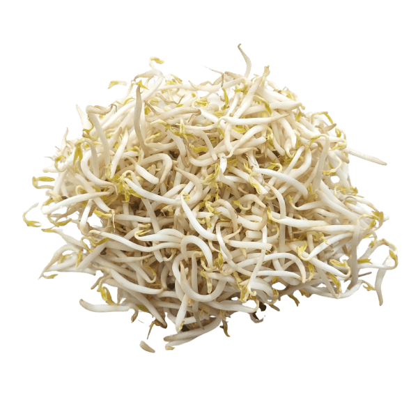 Taugé