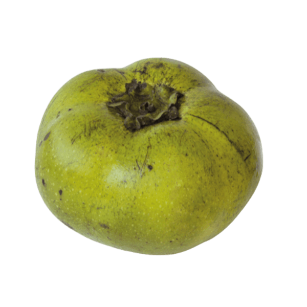Zwarte zapote