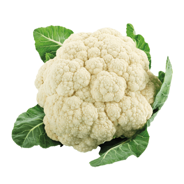 Bloemkool