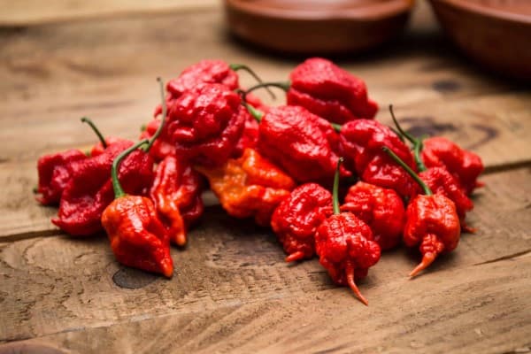 Carolina Reaper peper
