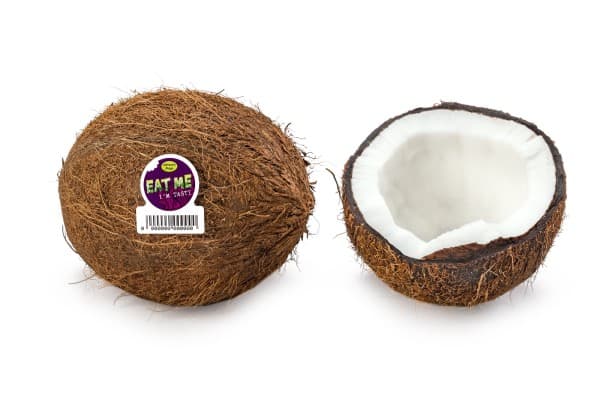 Kokosnuss