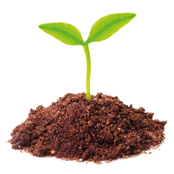 Microgroenten