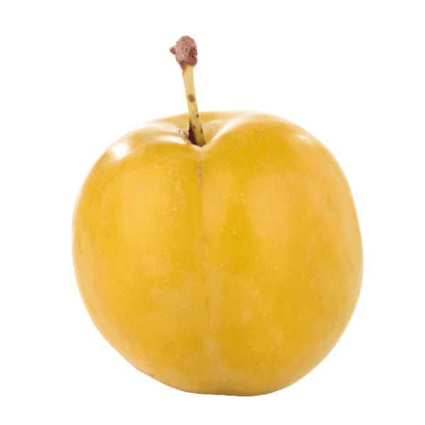 Mirabel