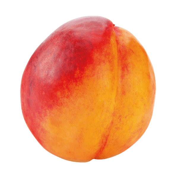 Nectarine