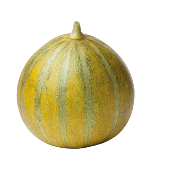 Ogenmeloen