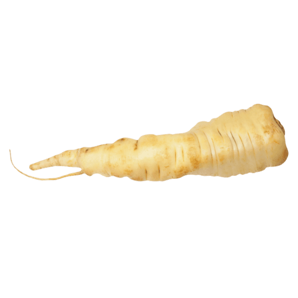 Parsley root