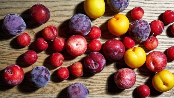 Plumcot