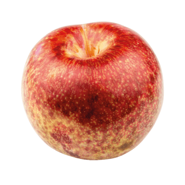 Plumcot