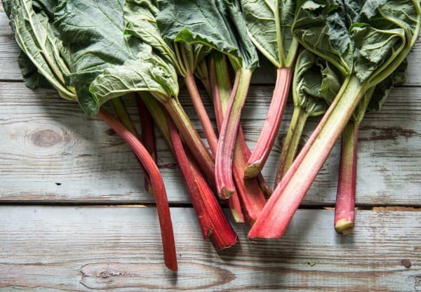 Rhubarb