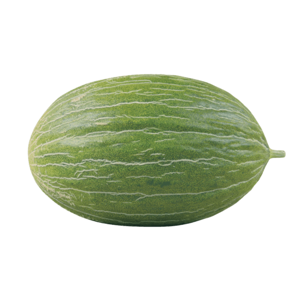 Rochet meloen