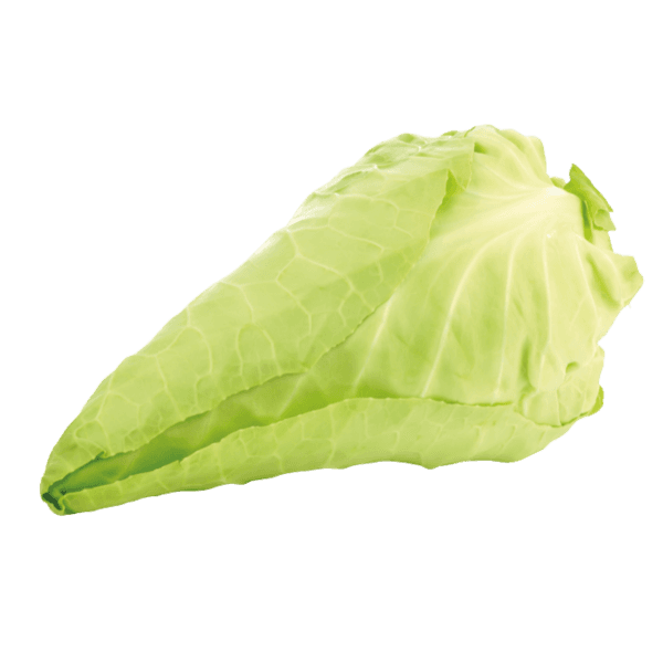 Spitskool