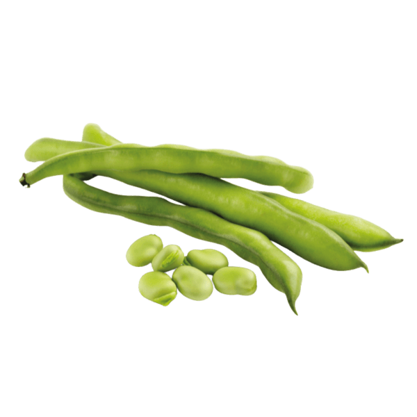 Tuinbonen