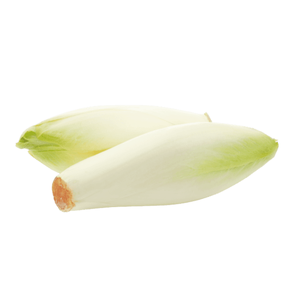Zichorie