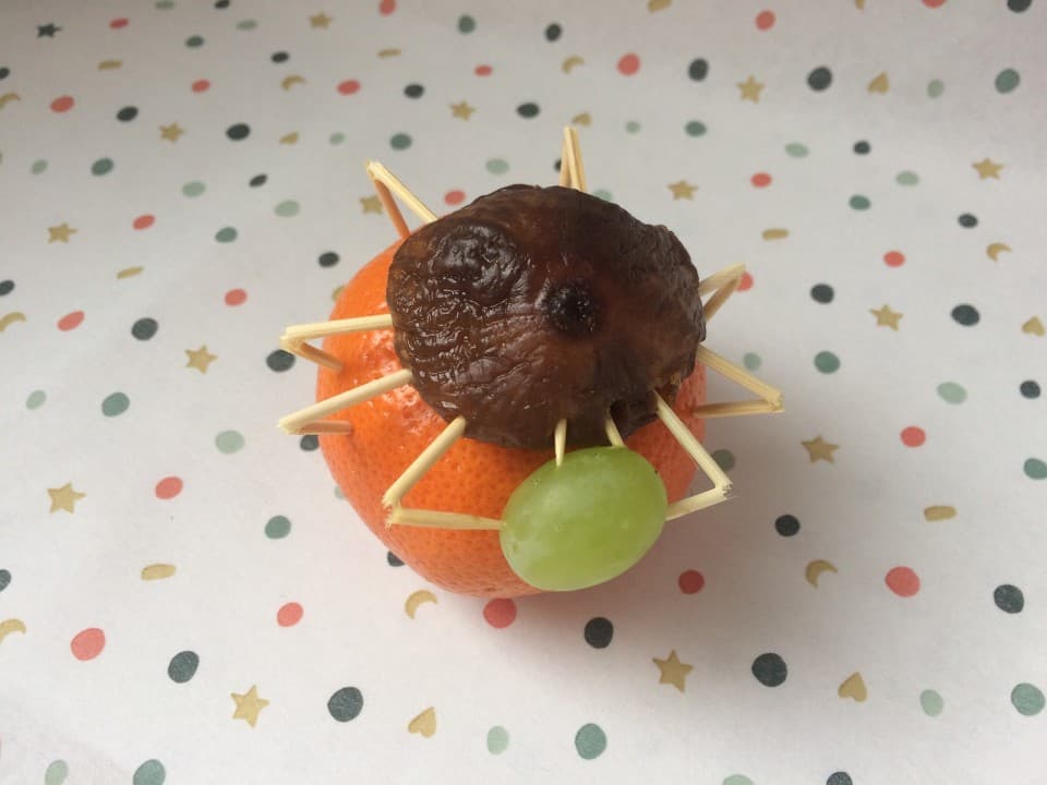 Fruitspin met prooi traktatie